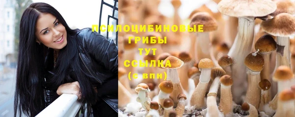 a pvp Медвежьегорск