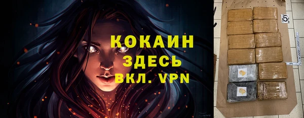 гашик Мегион