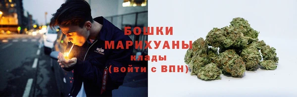 гашик Мегион