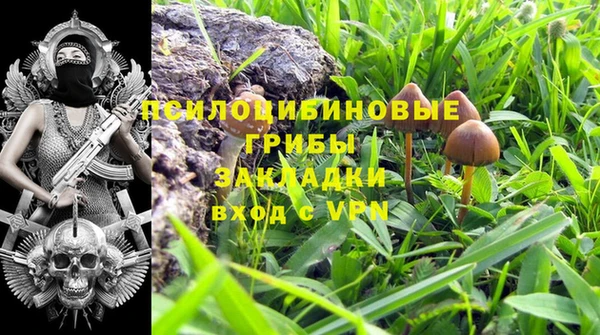 a pvp Медвежьегорск