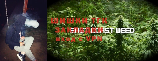 гашик Мегион
