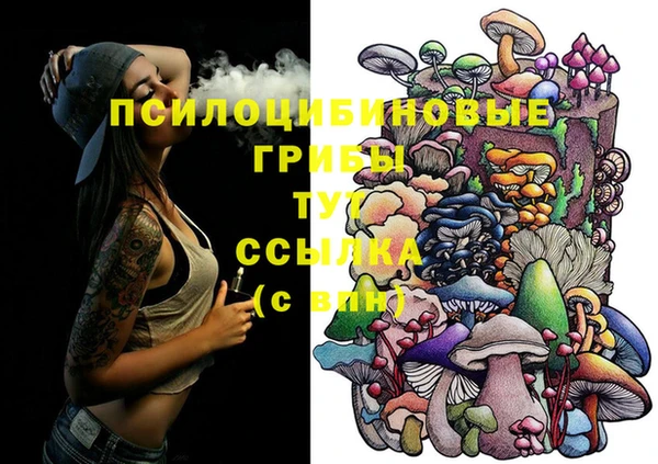 ПСИЛОЦИБИНОВЫЕ ГРИБЫ Медногорск
