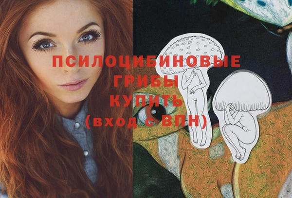 a pvp Медвежьегорск