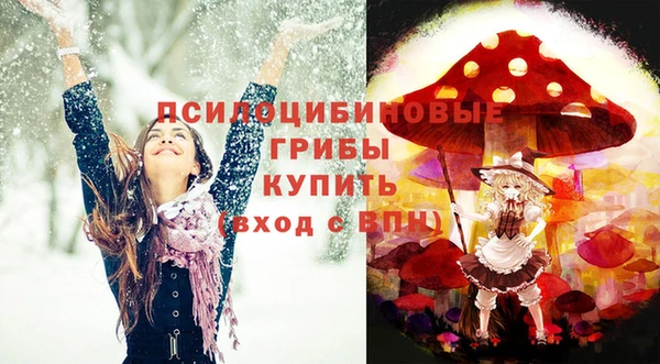 ПСИЛОЦИБИНОВЫЕ ГРИБЫ Медногорск