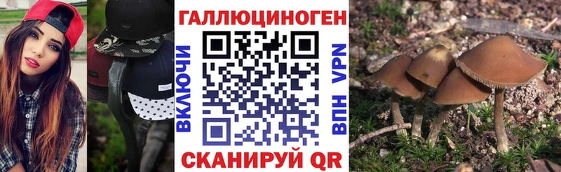 цены   Барнаул  Галлюциногенные грибы мухоморы 