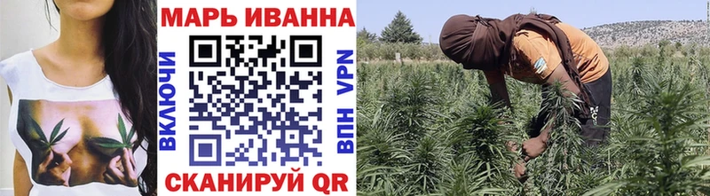 Каннабис сатива  Барнаул 